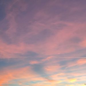 Meet your Posher, Avery